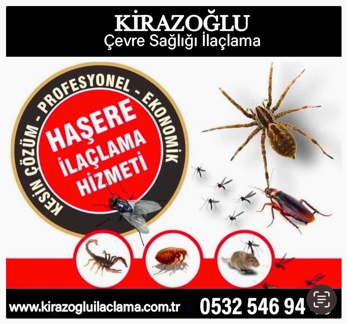 kiraz1
