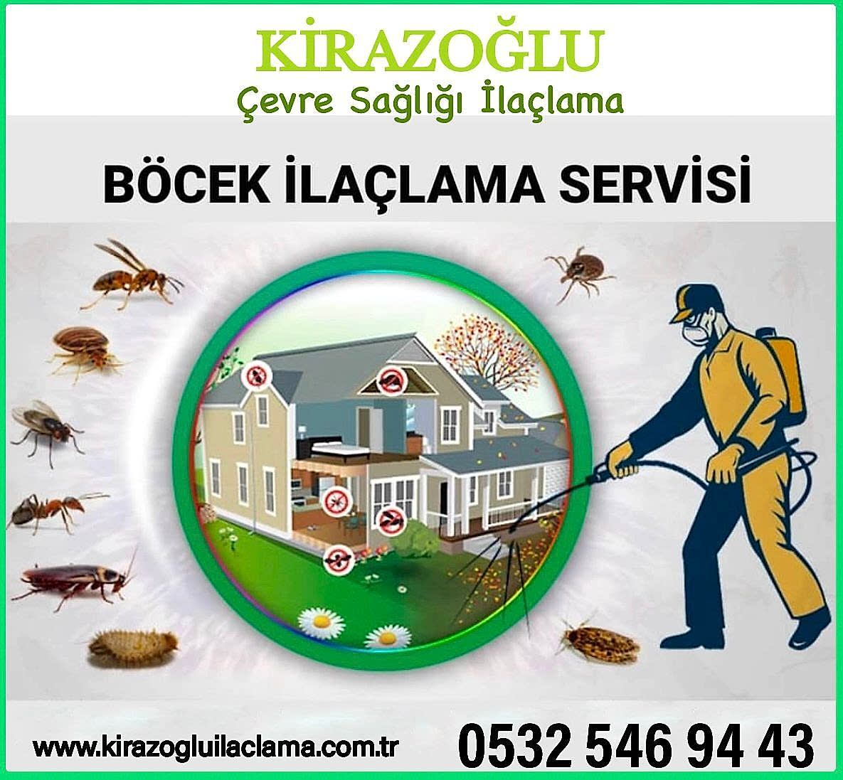 kiraz3
