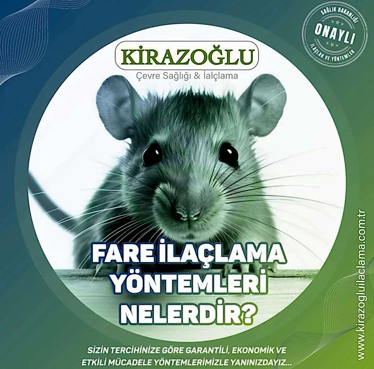 kiraz6