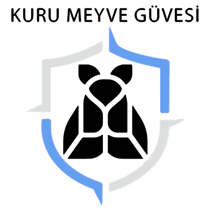 kuru-meyve-guvesi1.png