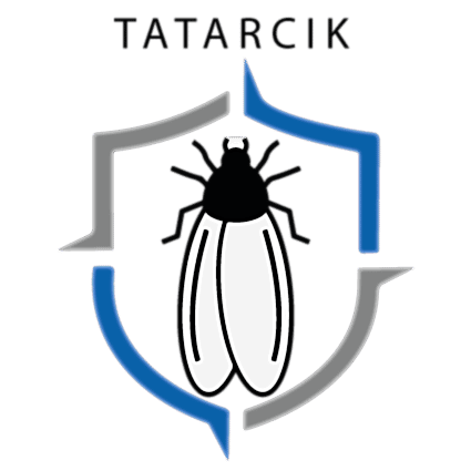 tatarcik1.png